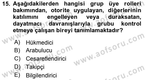 Sağlık Kurumları Yönetimi 2 Dersi 2015 - 2016 Yılı Tek Ders Sınav Soruları 15. Soru