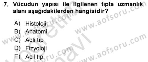Sağlık Kurumları Yönetimi 2 Dersi 2018 - 2019 Yılı 3 Ders Sınav Soruları 7. Soru