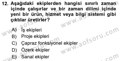 Sağlık Kurumları Yönetimi 2 Dersi 2023 - 2024 Yılı Yaz Okulu Sınav Soruları 12. Soru