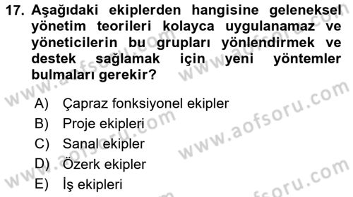 Sağlık Kurumları Yönetimi 2 Dersi 2024 - 2025 Yılı Yaz Okulu Sınav Soruları 17. Soru
