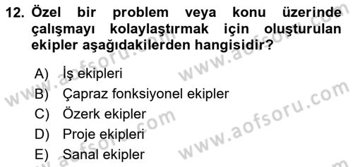 Sağlık Kurumları Yönetimi 2 Dersi 2025 - 2026 Yılı (Final) Dönem Sonu Sınav Soruları 12. Soru