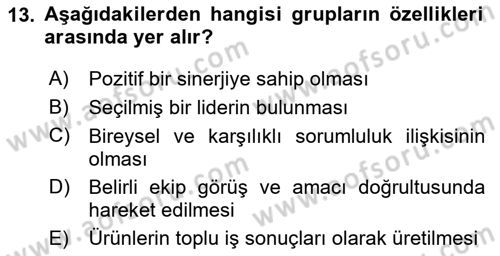 Sağlık Kurumları Yönetimi 2 Dersi 2025 - 2026 Yılı (Final) Dönem Sonu Sınav Soruları 13. Soru