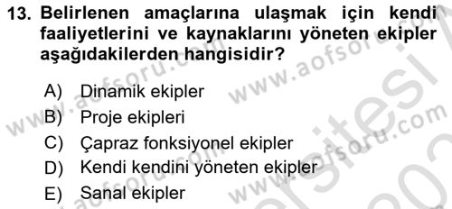 Sağlık Kurumları Yönetimi 2 Dersi 2025 - 2026 Yılı Yaz Okulu Sınav Soruları 13. Soru