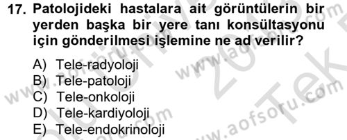 Sağlık Kurumlarında Bilgi Sistemleri Dersi 2013 - 2014 Yılı Tek Ders Sınav Soruları 17. Soru