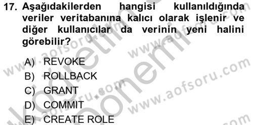 Sağlık Kurumlarında Bilgi Sistemleri Dersi 2016 - 2017 Yılı (Vize) Ara Sınav Soruları 17. Soru