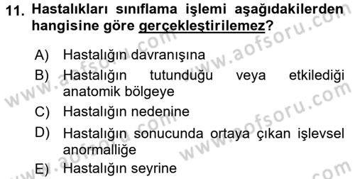Sağlık Kurumlarında Bilgi Sistemleri Dersi 2017 - 2018 Yılı (Vize) Ara Sınav Soruları 11. Soru