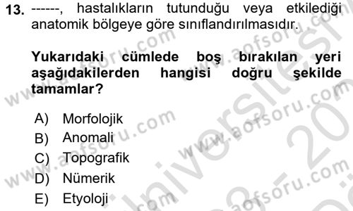 Sağlık Kurumlarında Bilgi Sistemleri Dersi 2023 - 2024 Yılı (Vize) Ara Sınav Soruları 13. Soru