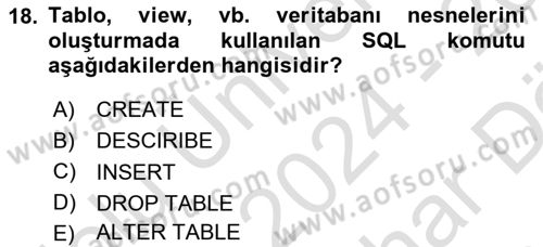 Sağlık Kurumlarında Bilgi Sistemleri Dersi 2024 - 2025 Yılı (Vize) Ara Sınav Soruları 18. Soru