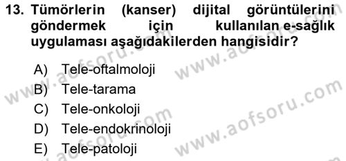 Sağlık Kurumlarında Bilgi Sistemleri Dersi 2024 - 2025 Yılı (Final) Dönem Sonu Sınav Soruları 13. Soru