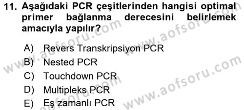 Tibbi Cihaz Ve Malzemeler Dersi 2017 - 2018 Yılı (Vize) Ara Sınavı 11. Soru