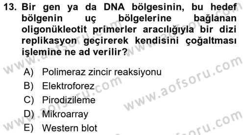 Tibbi Cihaz Ve Malzemeler Dersi 2018 - 2019 Yılı (Vize) Ara Sınavı 13. Soru