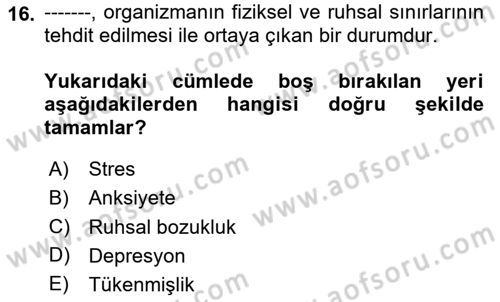 Bakım Elemanı Yetiştirme Ve Geliştirme 1 Dersi 2024 - 2025 Yılı Yaz Okulu Sınav Soruları 16. Soru