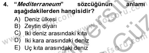 Akdeniz Uygarlıkları Sanatı Dersi 2012 - 2013 Yılı (Vize) Ara Sınavı 4. Soru