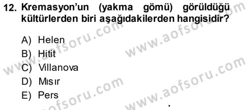 Akdeniz Uygarlıkları Sanatı Dersi Ara Sınavı Deneme Sınav Soruları 12. Soru