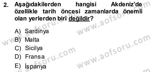 Akdeniz Uygarlıkları Sanatı Dersi Ara Sınavı Deneme Sınav Soruları 2. Soru