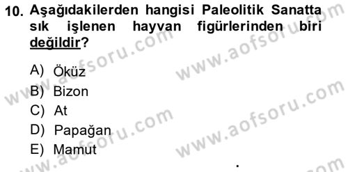 Akdeniz Uygarlıkları Sanatı Dersi Ara Sınavı Deneme Sınav Soruları 10. Soru