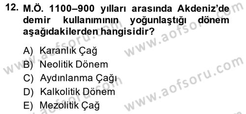 Akdeniz Uygarlıkları Sanatı Dersi Ara Sınavı Deneme Sınav Soruları 12. Soru