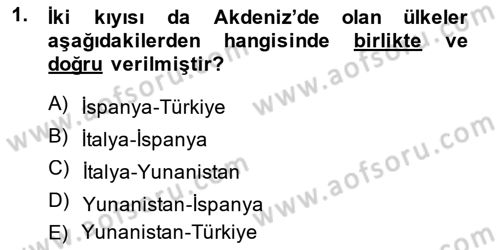 Akdeniz Uygarlıkları Sanatı Dersi 2014 - 2015 Yılı (Final) Dönem Sonu Sınav Soruları 1. Soru