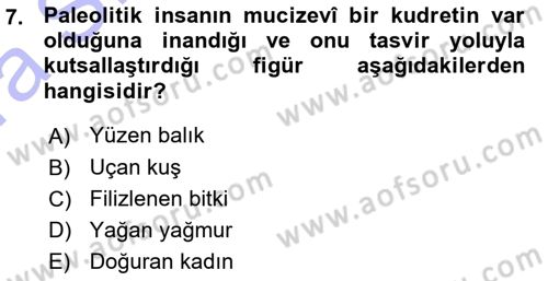 Akdeniz Uygarlıkları Sanatı Dersi Ara Sınavı Deneme Sınav Soruları 7. Soru