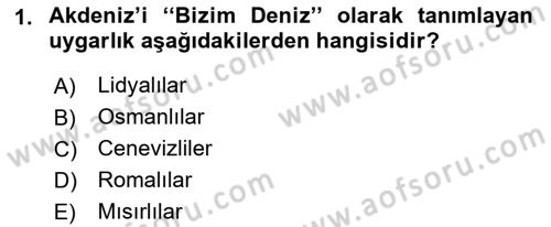 Akdeniz Uygarlıkları Sanatı Dersi 2016 - 2017 Yılı 3 Ders Sınav Soruları 1. Soru