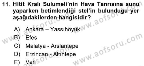 Akdeniz Uygarlıkları Sanatı Dersi Ara Sınavı Deneme Sınav Soruları 11. Soru
