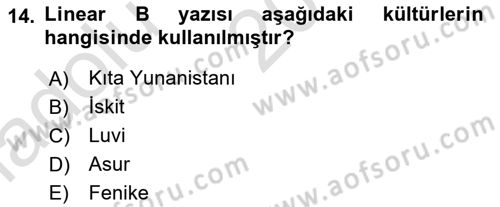 Akdeniz Uygarlıkları Sanatı Dersi 2016 - 2017 Yılı (Vize) Ara Sınav Soruları 14. Soru