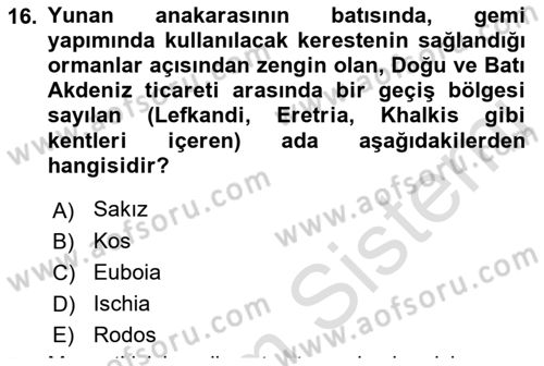 Akdeniz Uygarlıkları Sanatı Dersi Ara Sınavı Deneme Sınav Soruları 16. Soru