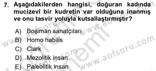 Akdeniz Uygarlıkları Sanatı Dersi Ara Sınavı Deneme Sınav Soruları 7. Soru