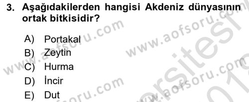 Akdeniz Uygarlıkları Sanatı Dersi 2017 - 2018 Yılı (Vize) Ara Sınavı 3. Soru