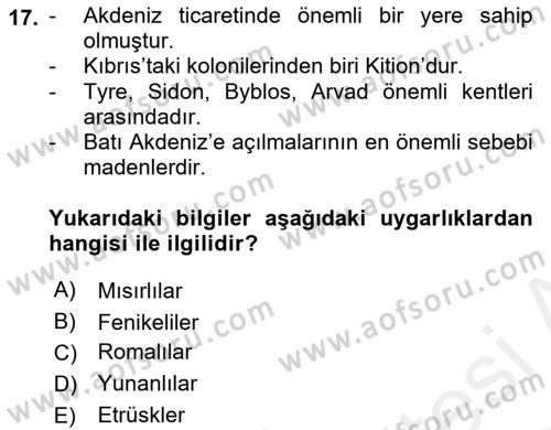 Akdeniz Uygarlıkları Sanatı Dersi Ara Sınavı Deneme Sınav Soruları 17. Soru