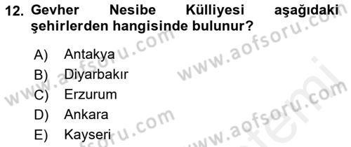 Akdeniz Uygarlıkları Sanatı Dersi 2018 - 2019 Yılı (Final) Dönem Sonu Sınav Soruları 12. Soru