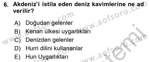 Akdeniz Uygarlıkları Sanatı Dersi 2018 - 2019 Yılı Yaz Okulu Sınav Soruları 6. Soru
