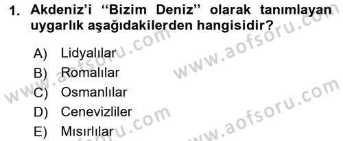 Akdeniz Uygarlıkları Sanatı Dersi Ara Sınavı Deneme Sınav Soruları 1. Soru