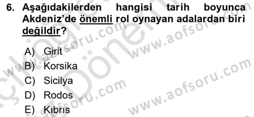 Akdeniz Uygarlıkları Sanatı Dersi Ara Sınavı Deneme Sınav Soruları 6. Soru