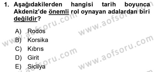 Akdeniz Uygarlıkları Sanatı Dersi 2020 - 2021 Yılı Yaz Okulu Sınav Soruları 1. Soru