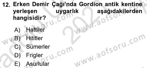 Akdeniz Uygarlıkları Sanatı Dersi Ara Sınavı Deneme Sınav Soruları 12. Soru