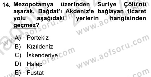 Akdeniz Uygarlıkları Sanatı Dersi 2021 - 2022 Yılı Yaz Okulu Sınav Soruları 14. Soru