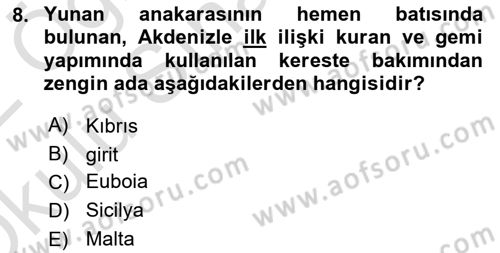 Akdeniz Uygarlıkları Sanatı Dersi 2021 - 2022 Yılı Yaz Okulu Sınav Soruları 8. Soru