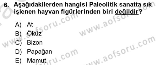 Akdeniz Uygarlıkları Sanatı Dersi 2022 - 2023 Yılı (Vize) Ara Sınav Soruları 6. Soru