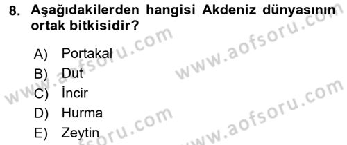 Akdeniz Uygarlıkları Sanatı Dersi 2022 - 2023 Yılı (Vize) Ara Sınav Soruları 8. Soru