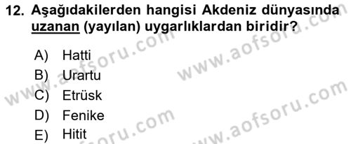 Akdeniz Uygarlıkları Sanatı Dersi 2023 - 2024 Yılı (Vize) Ara Sınav Soruları 12. Soru