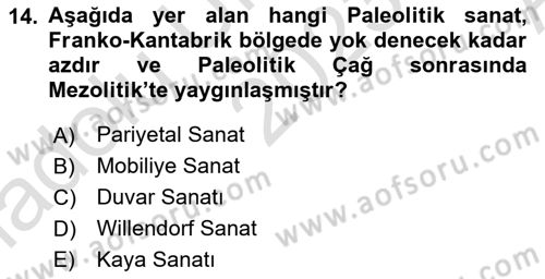 Akdeniz Uygarlıkları Sanatı Dersi Ara Sınavı Deneme Sınav Soruları 14. Soru