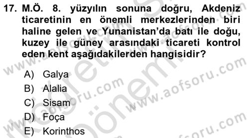 Akdeniz Uygarlıkları Sanatı Dersi 2023 - 2024 Yılı (Vize) Ara Sınav Soruları 17. Soru