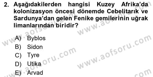 Akdeniz Uygarlıkları Sanatı Dersi 2023 - 2024 Yılı (Vize) Ara Sınav Soruları 2. Soru