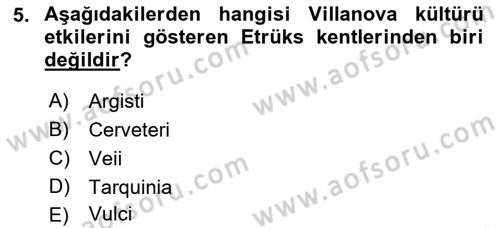 Akdeniz Uygarlıkları Sanatı Dersi 2023 - 2024 Yılı (Vize) Ara Sınav Soruları 5. Soru
