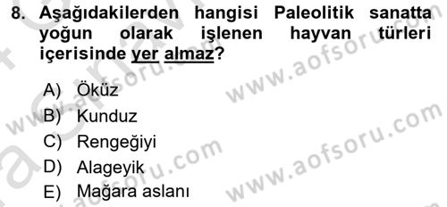 Akdeniz Uygarlıkları Sanatı Dersi Ara Sınavı Deneme Sınav Soruları 8. Soru