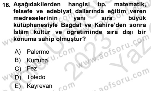Akdeniz Uygarlıkları Sanatı Dersi 2023 - 2024 Yılı Yaz Okulu Sınav Soruları 16. Soru