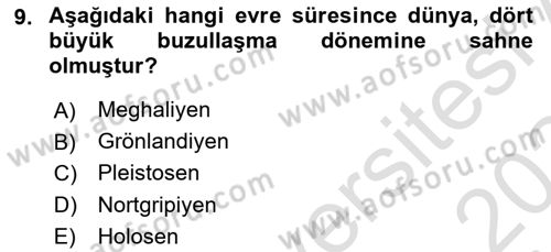 Akdeniz Uygarlıkları Sanatı Dersi 2023 - 2024 Yılı Yaz Okulu Sınav Soruları 9. Soru