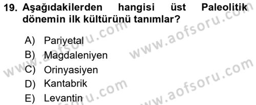 Akdeniz Uygarlıkları Sanatı Dersi 2024 - 2025 Yılı (Vize) Ara Sınav Soruları 19. Soru