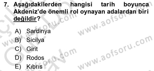 Akdeniz Uygarlıkları Sanatı Dersi Ara Sınavı Deneme Sınav Soruları 7. Soru